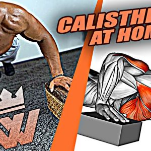 Calisthenics At Home for Beginners (No Equipment)