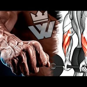 Bigger Forearms With Only 9 Exercises!