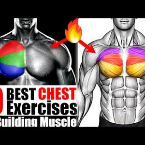 10 Best Chest Exercises For Building Muscle!