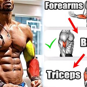 How To Build Your Biceps Triceps Forearms Workouts