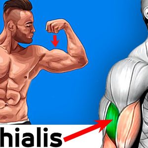 How To Build Your Biceps Fast 7 Exercises