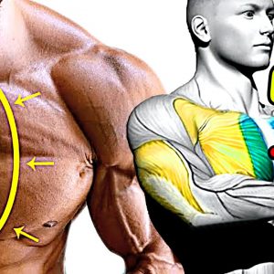 How to Build a Bigger CHEST Fast 10 Exercises!