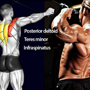 How To Build A Bulletproof BACK - Do These Exercises!