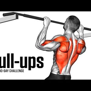 How To Do A Pull Up The Beginners Guide