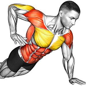 Chest and Triceps Workout for Strength Muscle