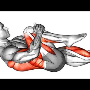 Flexibility Exercises (Stretching for the Health)