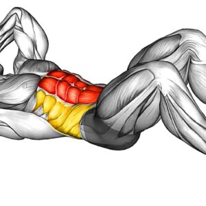 The Best Exercises For ABS Training