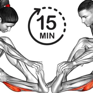 The Best Leg Stretching Exercises