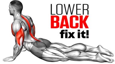 Exercises To Reduce Lower Back Pain