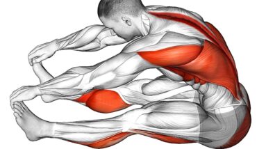 Leg Stretching Exercises | Hamstrings Flexibility Routine