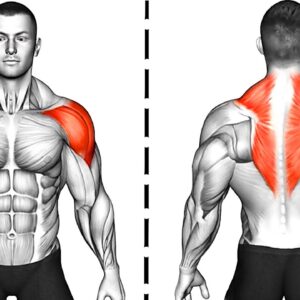 The Best Shoulder and Back Exercises At Home