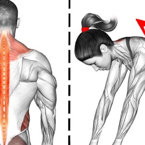 8 Exercises for Lower Back Pain