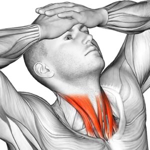 The 15 Most Effective Exercises for Neck Pain Relief