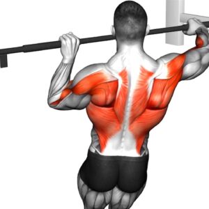 The Best Pull-Ups Variations