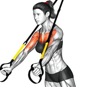 The Best TRX Exercises - Suspension Training Workout
