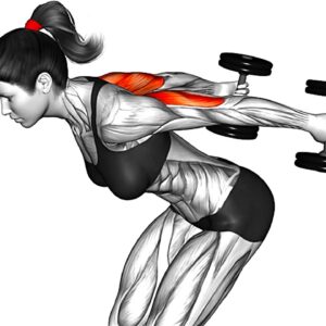 The Best Arm Exercises with Dumbbell For Women